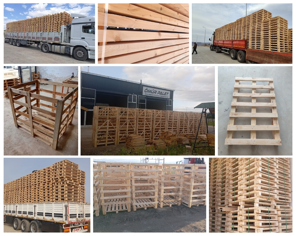 Bagnolet Palette Europe, Acheter des palettes en gros